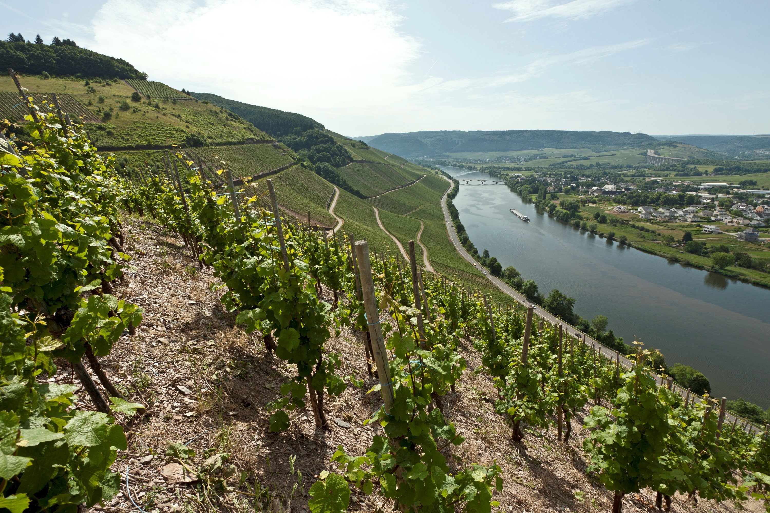 Mosellage by Carl Loewen